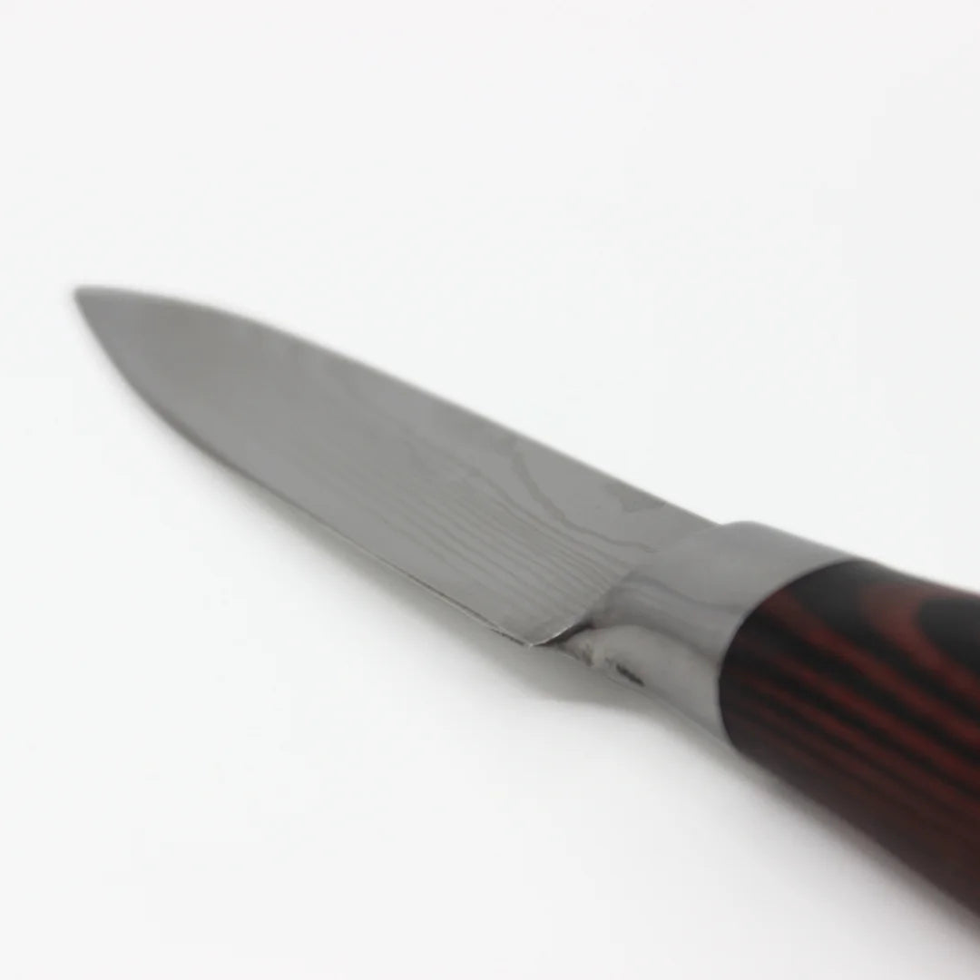 SET TENSAI - 6 COUTEAUX