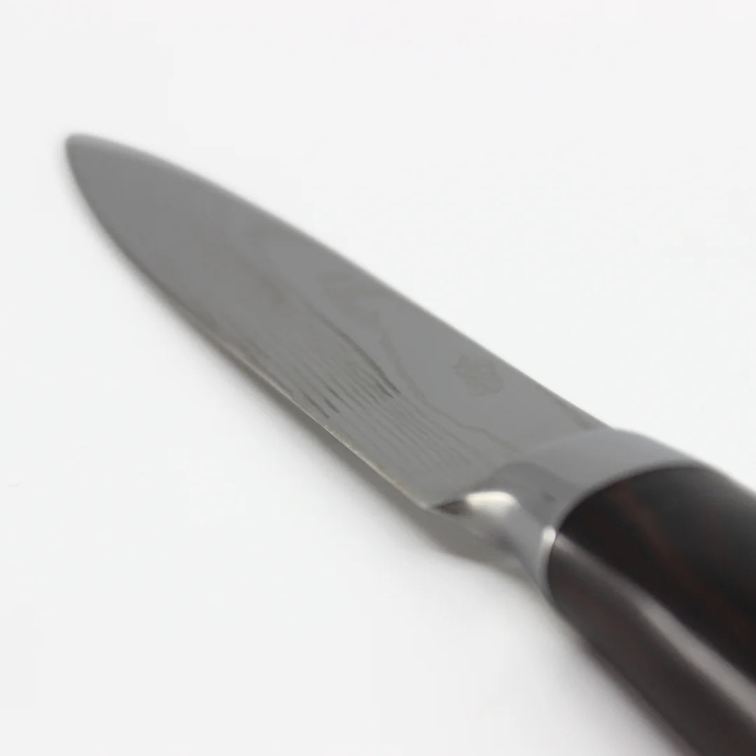 SET TENSAI - 6 COUTEAUX