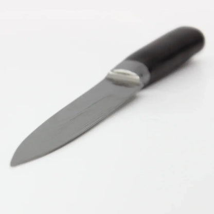 Couteau à poisson BiwShop